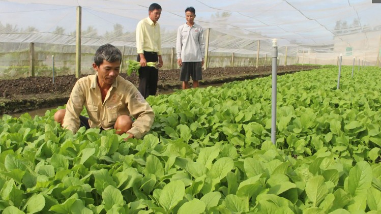 Công nghệ hiện đại giúp nâng cao giá trị nông sản sạch
