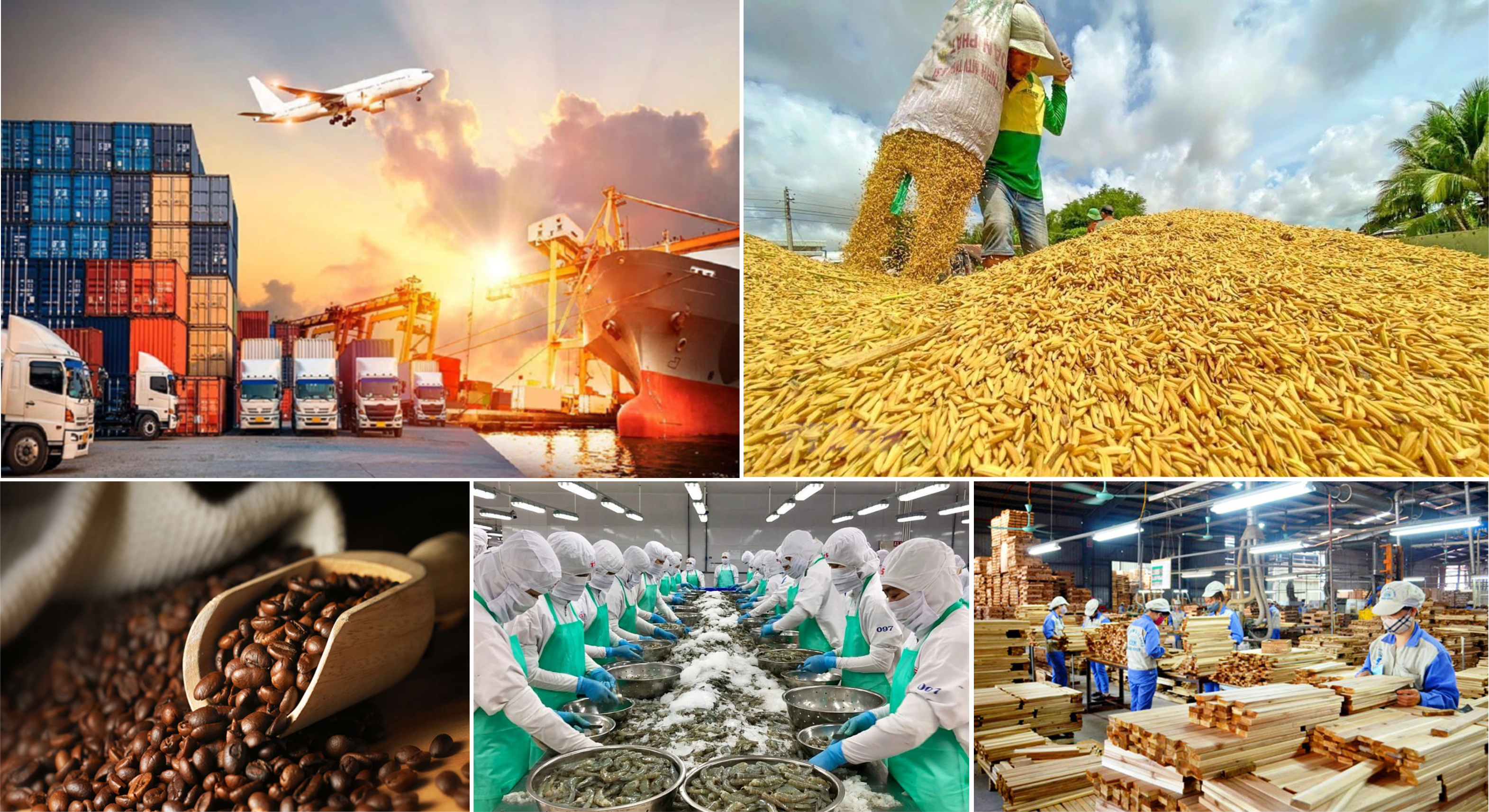 Giá nông sản hôm nay 16/6: Hồ tiêu đi ngang, cà phê neo cao, lúa gạo giao dịch chậm