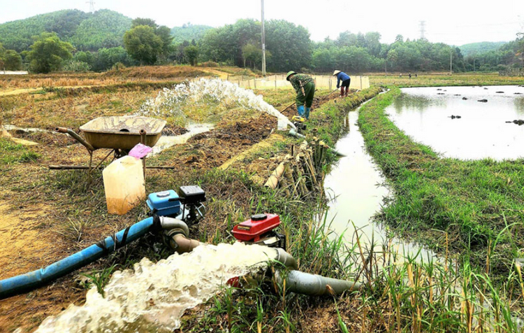 Ứng phó biến đổi khí hậu: Bảo vệ nguồn nước, tăng sức chống chịu