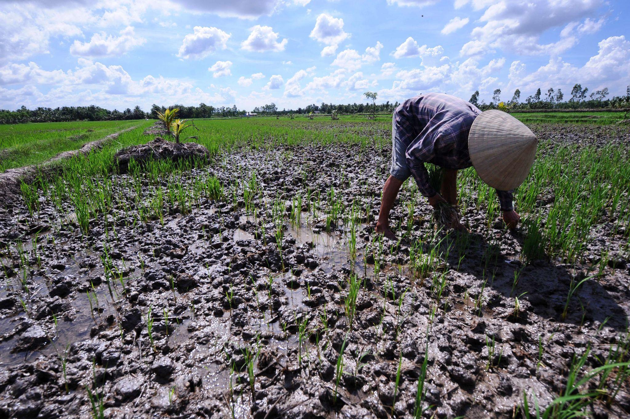 Dự báo El Nino rất mạnh năm 2026: Việt Nam đối mặt nguy cơ nắng nóng cực đoan, hạn hán và thiếu nước kéo dài Dự báo El Nino rất mạnh năm 2026: Việt Nam đối mặt nguy cơ nắng nóng cực đoan, hạn hán và thiếu nước kéo dài