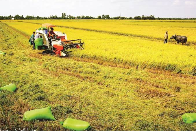 Vĩnh Long đẩy mạnh chuyển đổi xanh trong phát triển nông nghiệp