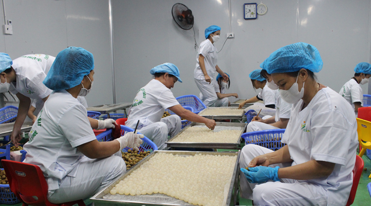 Xây dựng sản phẩm OCOP đặc trưng từ thế mạnh địa phương