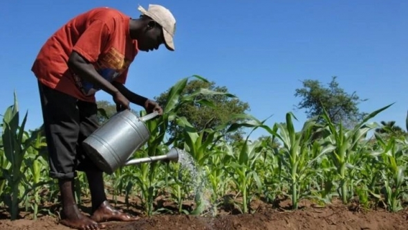 Liên hợp quốc cảnh báo nguy cơ khủng hoảng lương thực do tác động từ El Nino