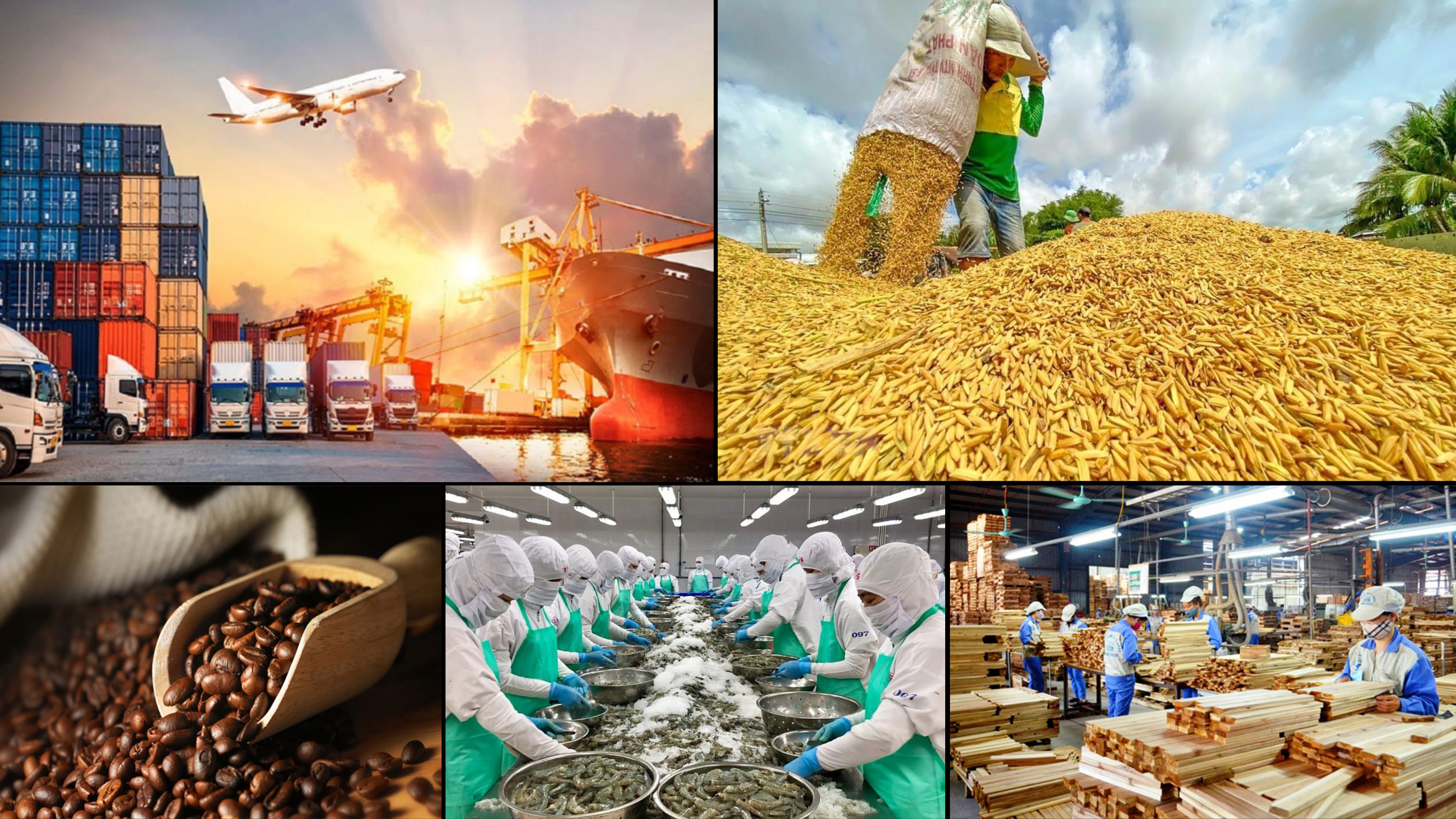 Giá nông sản hôm nay 25/6: Giá tiêu tiếp tục tăng, cà phê phục hồi, gạo Jasmine giảm nhẹ