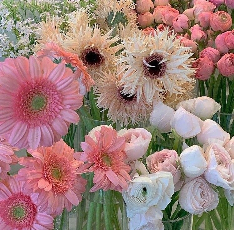 Tử vi 12 con giáp ngày 17/7/2022: Tuổi Mùi thu nhập dư dôi, tuổi Tỵ tài chính bấp bênh