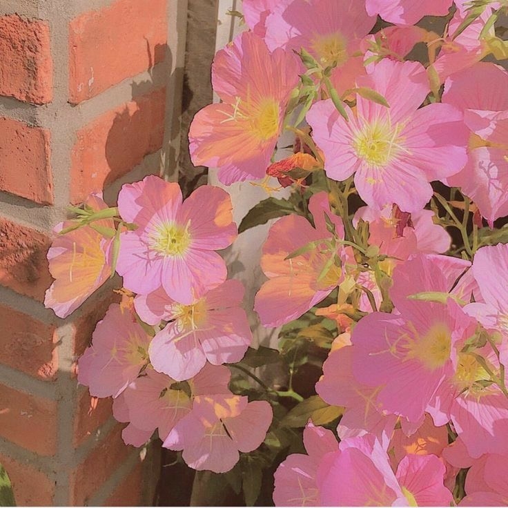 Tử vi 12 con giáp ngày 17/7/2022: Tuổi Mùi thu nhập dư dôi, tuổi Tỵ tài chính bấp bênh