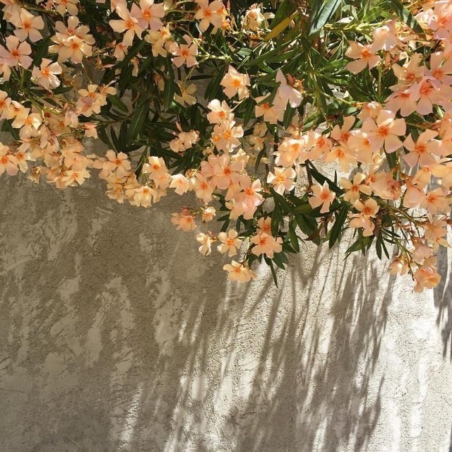 Tử vi 12 con giáp ngày 18/7/2022: Tuổi Tý tình cảm may mắn, tuổi Dần không nên chủ quan