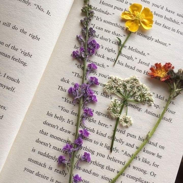 Tử vi 12 con giáp ngày 18/7/2022: Tuổi Tý tình cảm may mắn, tuổi Dần không nên chủ quan