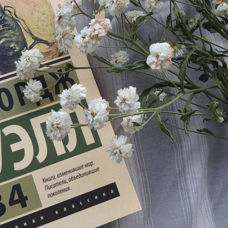 Tử vi 12 con giáp ngày 19/7/2022: Tuổi Ngọ gặp nhiều khó khăn, tuổi Dần cải thiện thu nhập