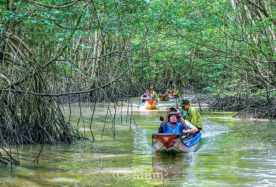 Du lịch xanh Mũi Cà Mau