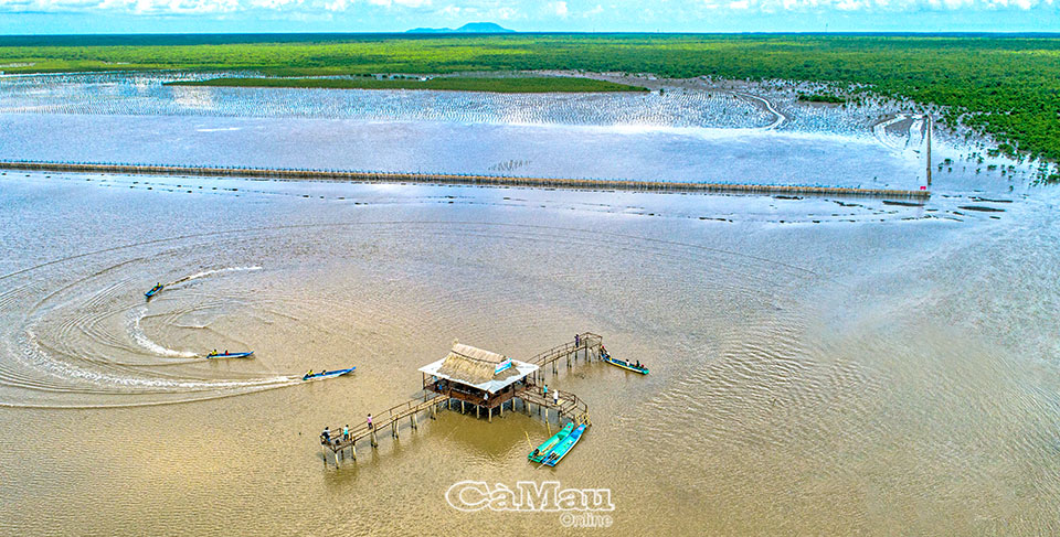 Du lịch xanh Mũi Cà Mau