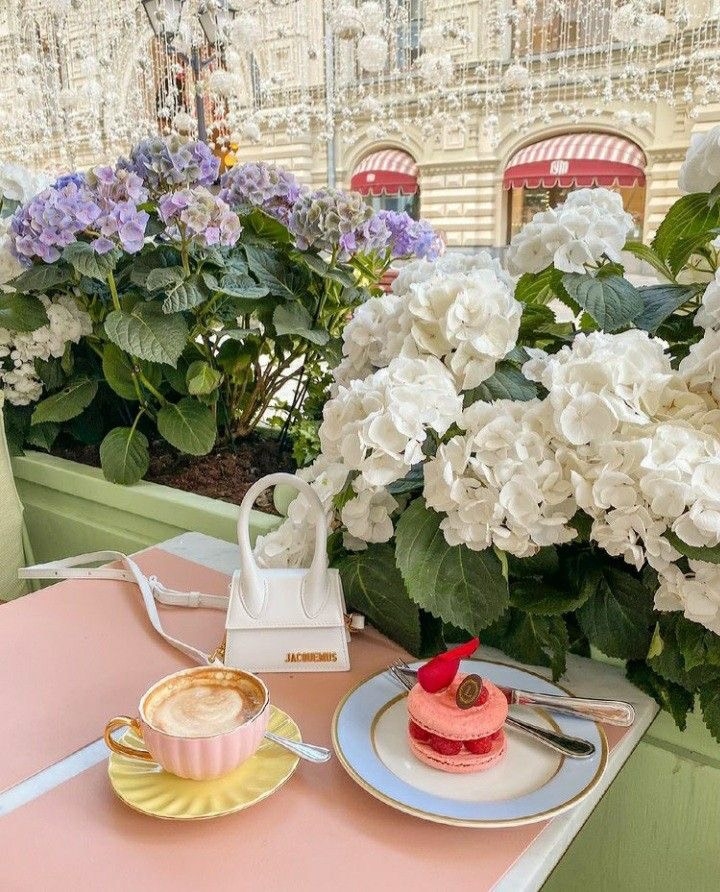 Tử vi 12 con giáp ngày 23/7/2022: Tuổi Dậu nên thận trọng, tuổi Hợi công danh hanh thông