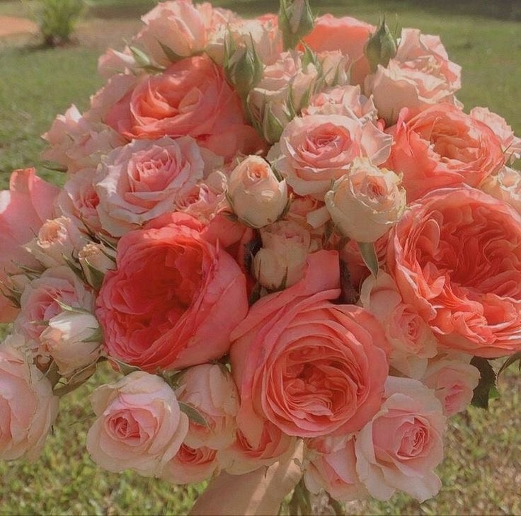 Tử vi 12 con giáp ngày 24/7/2022: Tuổi Tuất tình cảm vượng sắc, tuổi Mùi họa hao tài