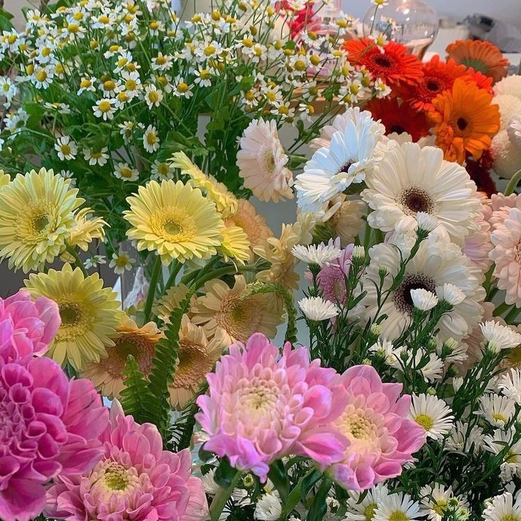 Tử vi 12 con giáp ngày 28/7/2022: Tuổi Tỵ nhân duyên tốt lành, tuổi Ngọ nhiều mâu thuẫn