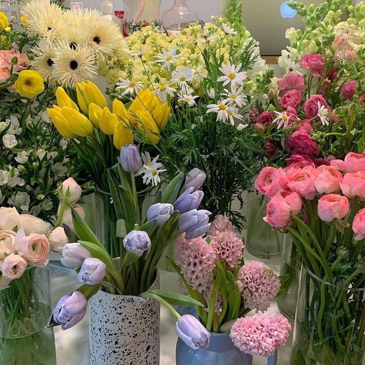 Tử vi 12 con giáp ngày 30/7/2022: Tuổi Tý công việc thuận lợi, tuổi Thìn tài lộc đi xuống