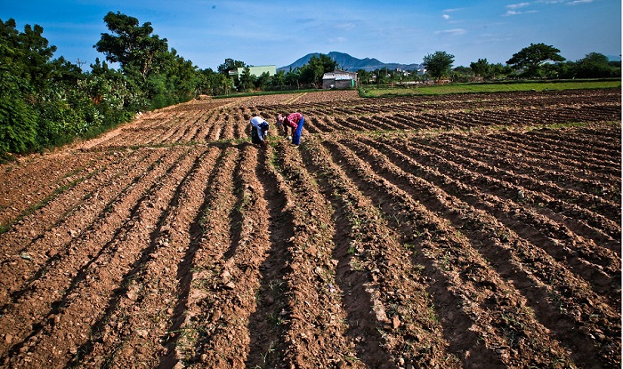 Khu vực Đông Nam Á tăng cường cảnh báo đối phó với El Nino Khu vực Đông Nam Á tăng cường cảnh báo đối phó với El Nino