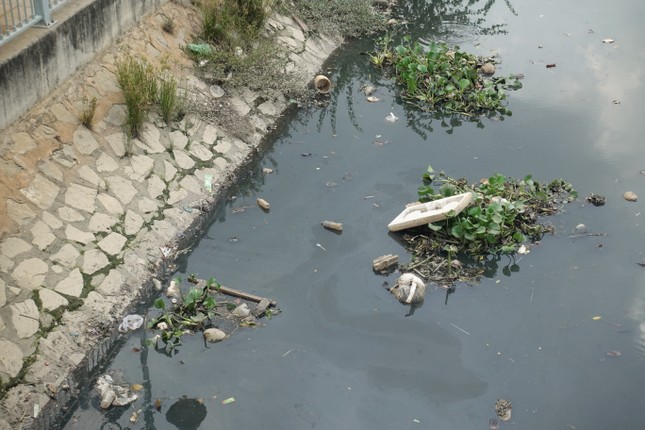 Ô nhiễm tái xuất trên những con kênh vừa được cải tạo nghìn tỷ ở TPHCM Ô nhiễm tái xuất trên những con kênh vừa được cải tạo nghìn tỷ ở TPHCM ảnh 4