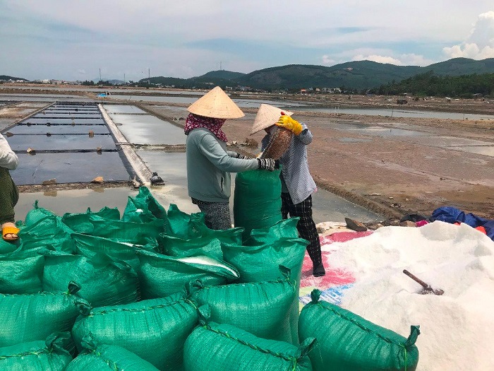 Tăng cường liên kết trong phát triển ngành muối bền vững Tăng cường liên kết trong phát triển ngành muối bền vững