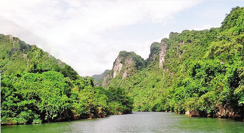 Doanh nhân Đoàn Thị Yên: Bỏ phố về rừng, dành trọn tình yêu cho du lịch Doanh nhân Đoàn Thị Yên: Bỏ phố về rừng, dành trọn tình yêu cho du lịch