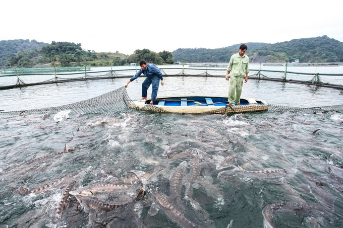 Phòng, chống ô nhiễm nguồn nước trong nuôi trồng thủy sản