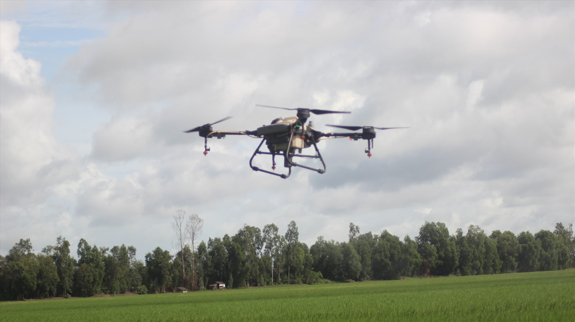 Sản xuất lúa gạo chủ lực, nông dân Miền Tây vẫn chật vật, khó khăn