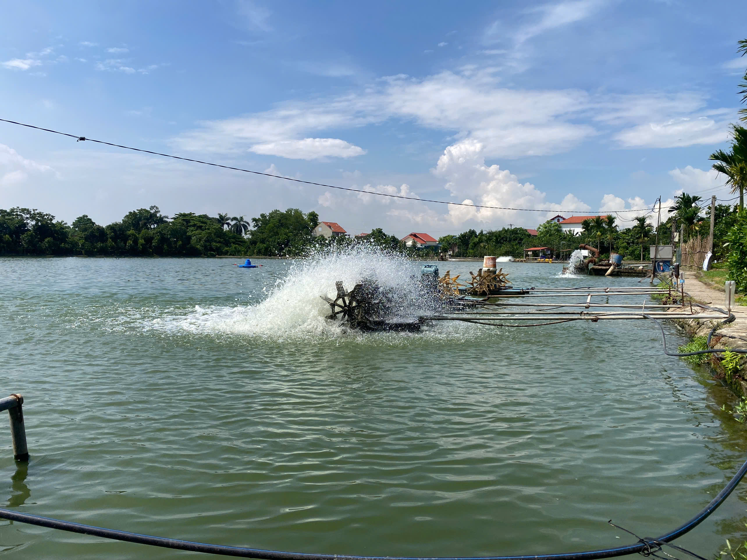 Ứng dụng công nghệ cao trong nuôi trồng thủy sản Ứng dụng công nghệ cao trong nuôi trồng thủy sản