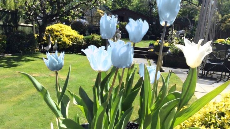 Tử vi vòng quay công nghệ ngày 23/7/2025: Tuổi Thân phát tài, tuổi Mão chú ý chi tiêu Tử vi vòng quay công nghệ ngày 23/7/2025: Tuổi Thân phát tài, tuổi Mão chú ý chi tiêu