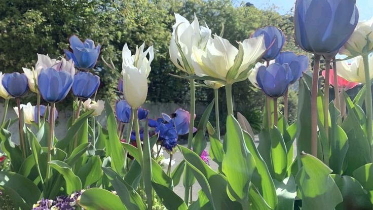 Tử vi vòng quay công nghệ ngày 23/7/2025: Tuổi Thân phát tài, tuổi Mão chú ý chi tiêu Tử vi vòng quay công nghệ ngày 23/7/2025: Tuổi Thân phát tài, tuổi Mão chú ý chi tiêu