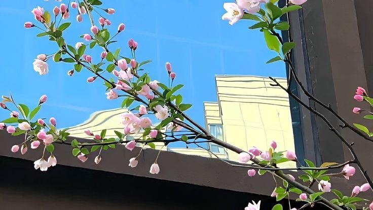 Tử vi vòng quay công nghệ ngày 23/7/2025: Tuổi Thân phát tài, tuổi Mão chú ý chi tiêu Tử vi vòng quay công nghệ ngày 23/7/2025: Tuổi Thân phát tài, tuổi Mão chú ý chi tiêu