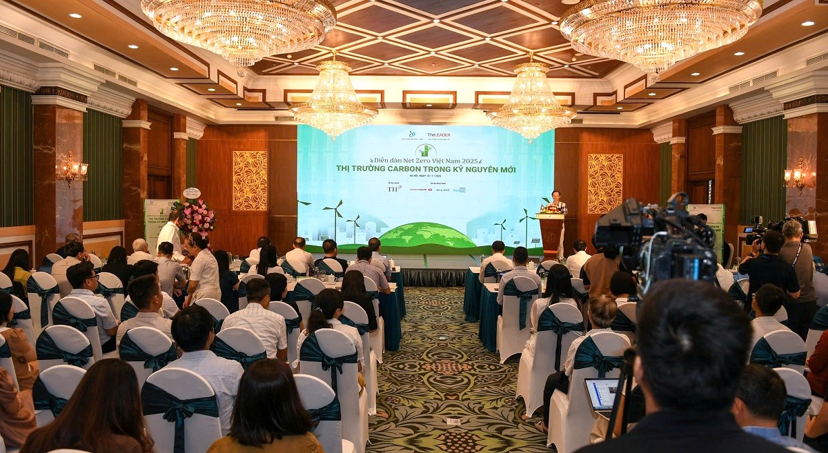 Phát triển thị trường carbon bền vững Phát triển thị trường carbon bền vững