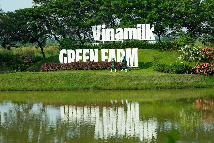 Vinamilk “Mở khóa tự nhiên” tại Green Farm: Mô hình sinh thái truyền cảm hứng doanh nghiệp. Vinamilk “Mở khóa tự nhiên” tại Green Farm: Mô hình sinh thái truyền cảm hứng doanh nghiệp.