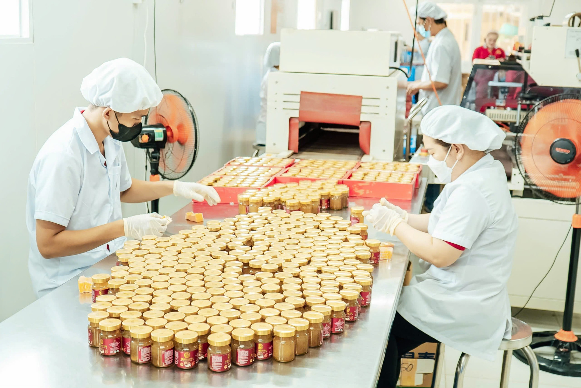 CEO Minh Trân Group Văn Nguyễn Hồng Trân: Thành công từ sự tử tế CEO Minh Trân Group Văn Nguyễn Hồng Trân: Thành công từ sự tử tế