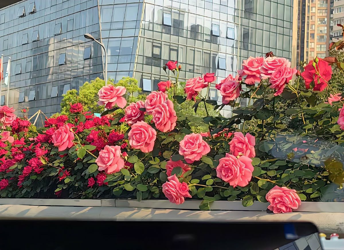 Tử vi vòng quay công nghệ ngày 29/7/2025: Tuổi Mùi nhiều tin vui, tuổi Tuất dễ bị hiểu lầm Tử vi vòng quay công nghệ ngày 29/7/2025: Tuổi Mùi nhiều tin vui, tuổi Tuất dễ bị hiểu lầm