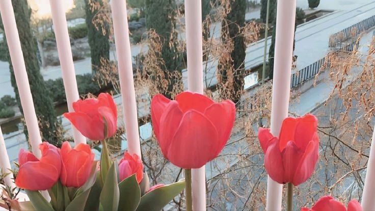 Tử vi vòng quay công nghệ ngày 29/7/2025: Tuổi Mùi nhiều tin vui, tuổi Tuất dễ bị hiểu lầm Tử vi vòng quay công nghệ ngày 29/7/2025: Tuổi Mùi nhiều tin vui, tuổi Tuất dễ bị hiểu lầm