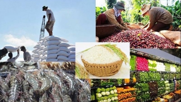 Xuất khẩu nông, lâm, thủy sản 100 tỷ USD: Thách thức không nằm ở năng lực sản xuất