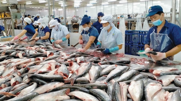 FTA Việt Nam - EFTA: Cơ hội mới cho xuất khẩu thủy sản Việt Nam