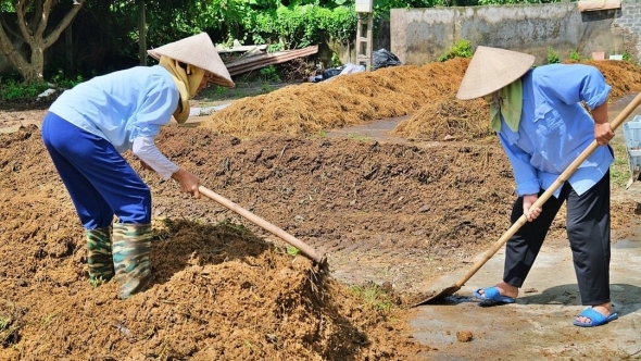 Giảm ô nhiễm từ tận dụng tối đa rơm, rạ sau thu hoạch