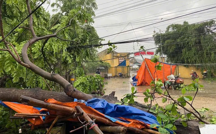Chủ động phòng ngừa thiên tai, ứng phó hiệu quả biến đổi khí hậu Chủ động phòng ngừa thiên tai, ứng phó hiệu quả biến đổi khí hậu