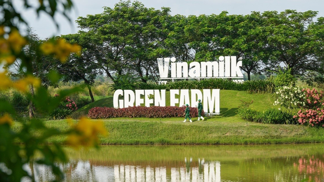 Vinamilk đóng góp gần 45% tổng cổ tức SCIC thu được trong năm 2025