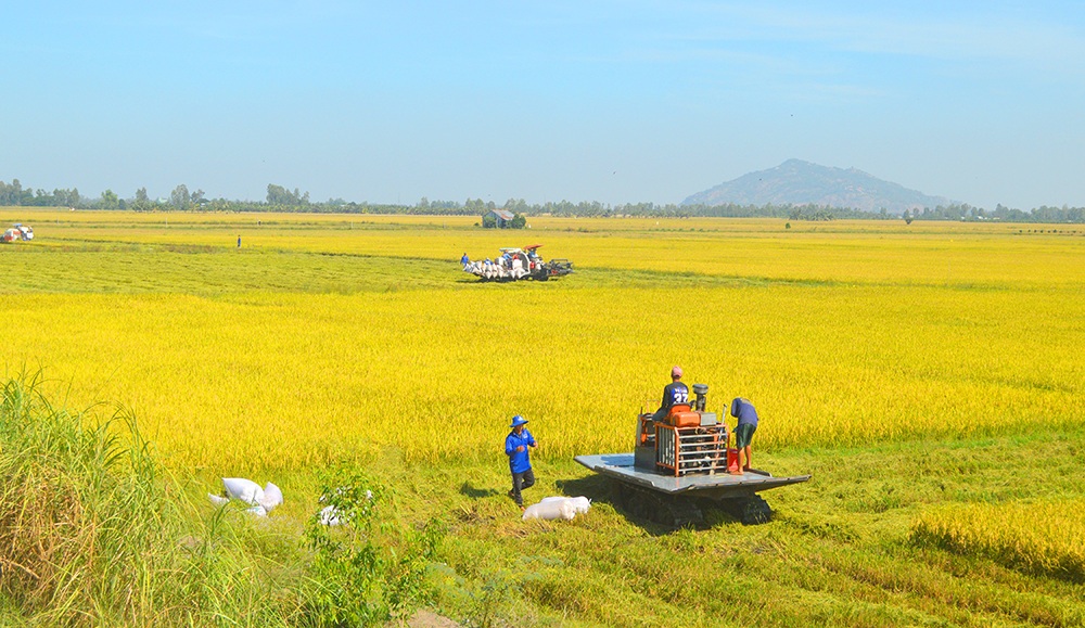 Cơ giới hóa giúp thúc đẩy phát triển nông nghiệp hiện đại