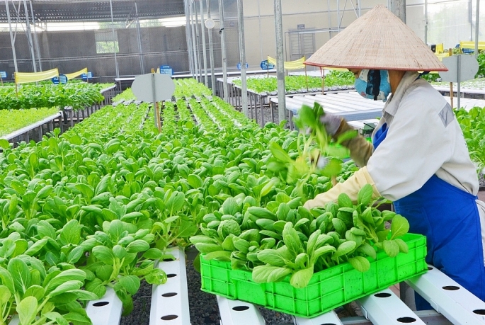 Phát triển nông nghiệp xanh, tăng sức chống chịu trước biến đổi khí hậu Phát triển nông nghiệp xanh, tăng sức chống chịu trước biến đổi khí hậu