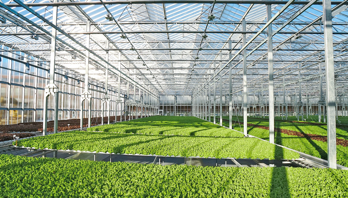 Phát triển nông nghiệp xanh, tăng sức chống chịu trước biến đổi khí hậu Phát triển nông nghiệp xanh, tăng sức chống chịu trước biến đổi khí hậu