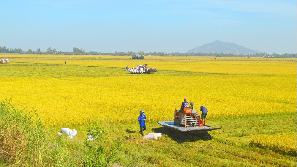 Cơ giới hóa giúp thúc đẩy phát triển nông nghiệp hiện đại