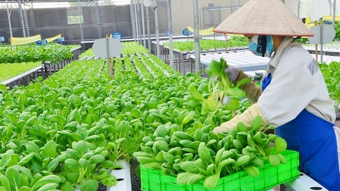 Phát triển nông nghiệp xanh, tăng sức chống chịu trước biến đổi khí hậu
