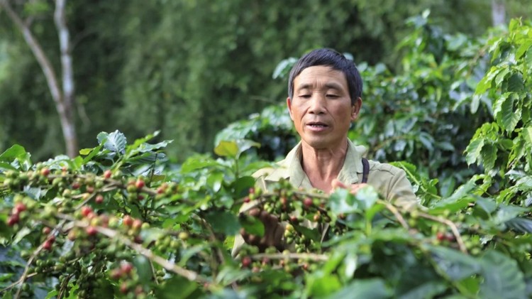Tập trung tái cơ cấu nông nghiệp, gia tăng giá trị nông sản