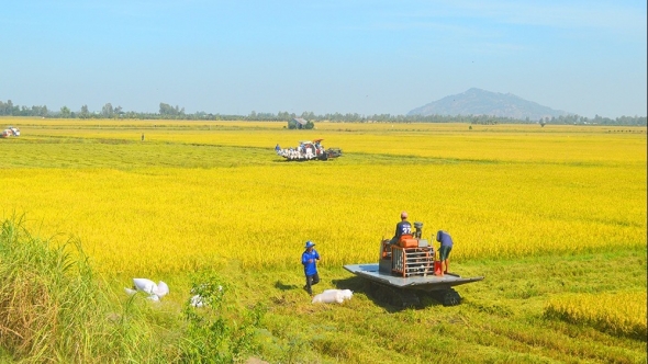 Cơ giới hóa giúp thúc đẩy phát triển nông nghiệp hiện đại