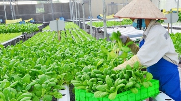 Phát triển nông nghiệp xanh, tăng sức chống chịu trước biến đổi khí hậu