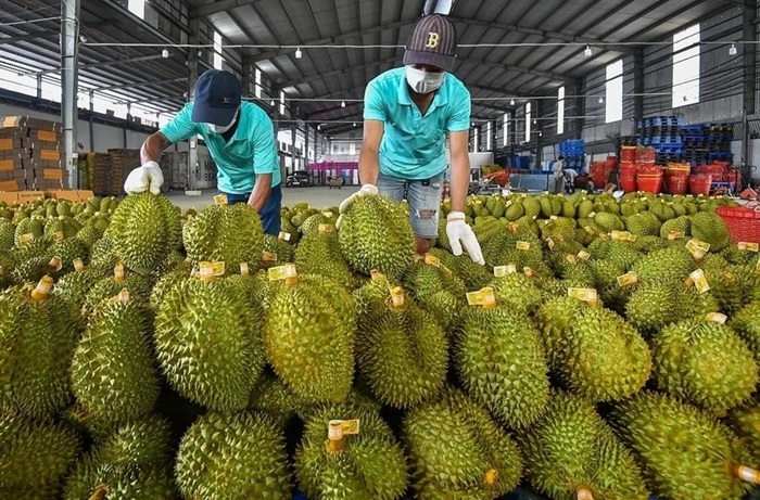 Xuất khẩu rau quả duy trì đà tăng trưởng