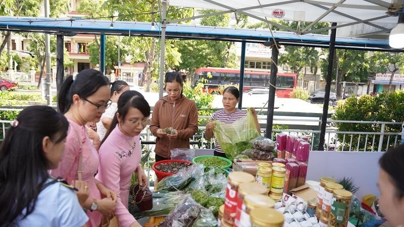 Huế hỗ trợ phát triển, nâng cao chất lượng sản phẩm OCOP