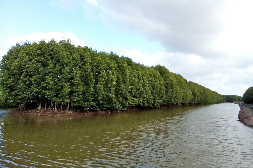 Phục hồi và bảo tồn các hệ sinh thái biển Phục hồi và bảo tồn các hệ sinh thái biển